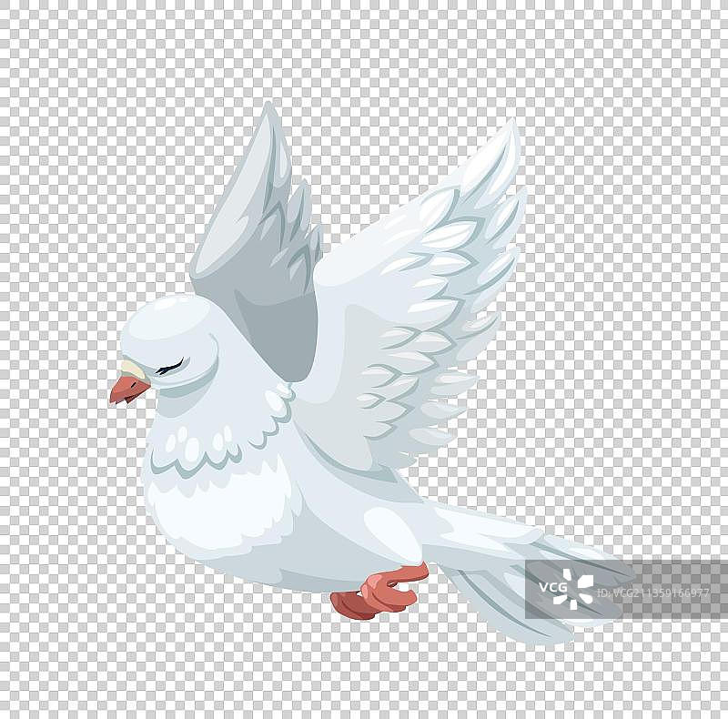 手绘卡通白色鸽子图片素材