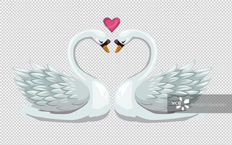 两只天鹅元素图片素材