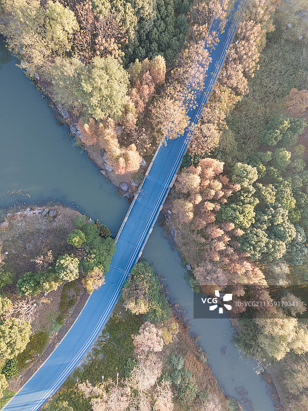 The road of late autumn图片素材