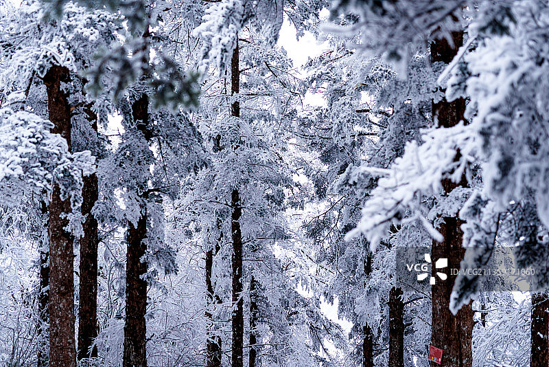峨眉山风景图片素材
