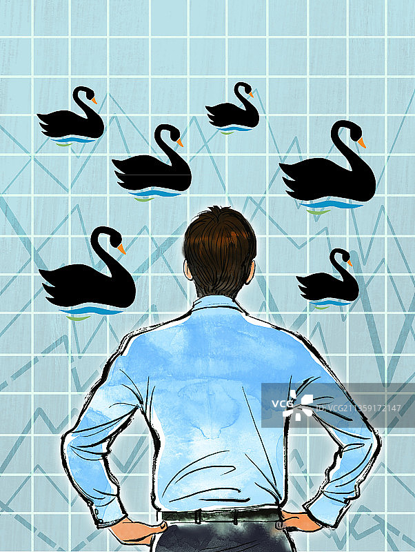 黑天鹅图片素材