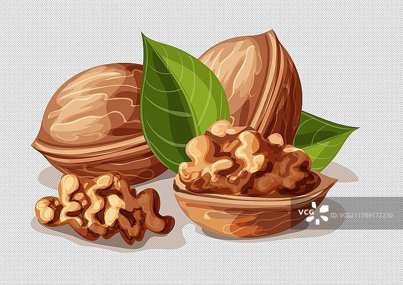 三颗核桃坚果免抠元素图片素材