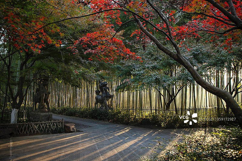 云栖竹径图片素材