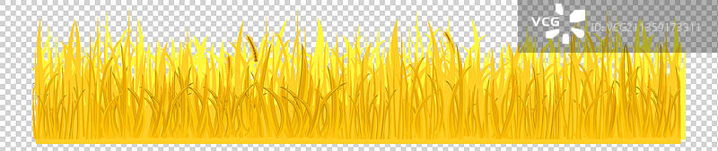 田野农作物稻谷元素图片素材