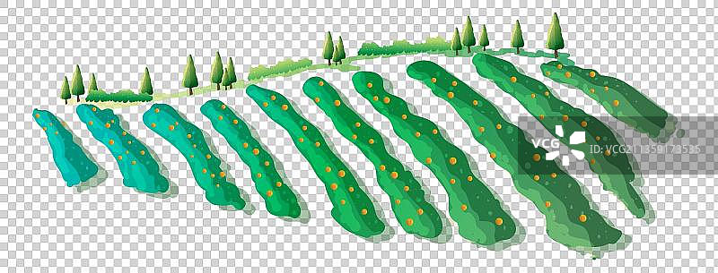 田野里的农作物图片素材