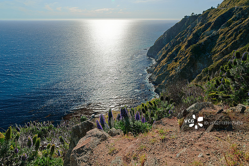 美国加州大瑟尔海景高角度景观图片素材