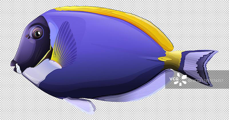 卡通紫色的深海鱼图片素材