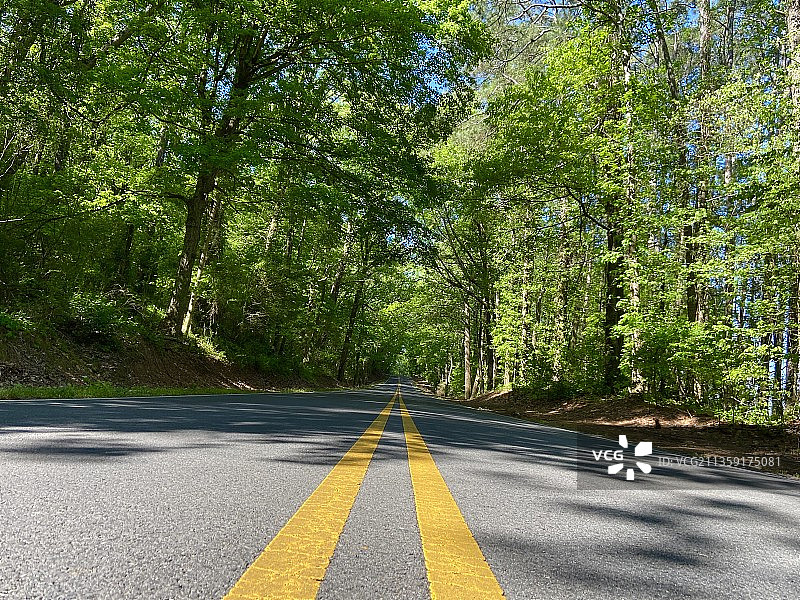 林间空旷的道路图片素材