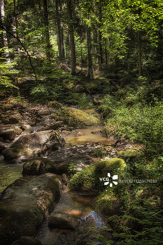 森林溪流美景，德国巴伐利亚林区哈塞尔巴赫图片素材