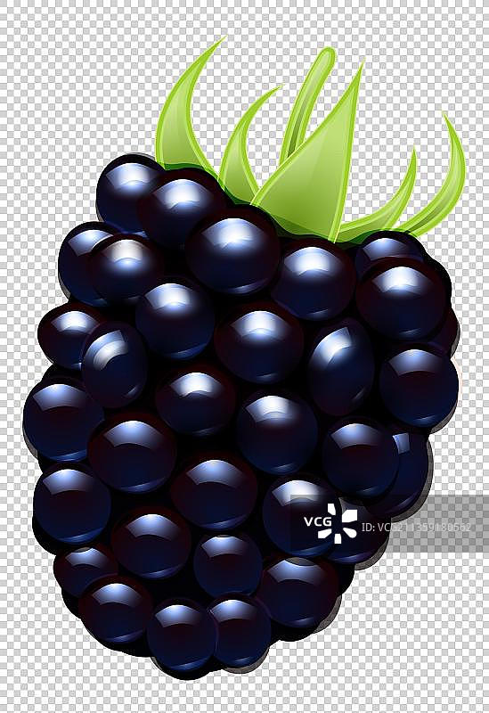 卡通蓝色桑葚水果图片素材