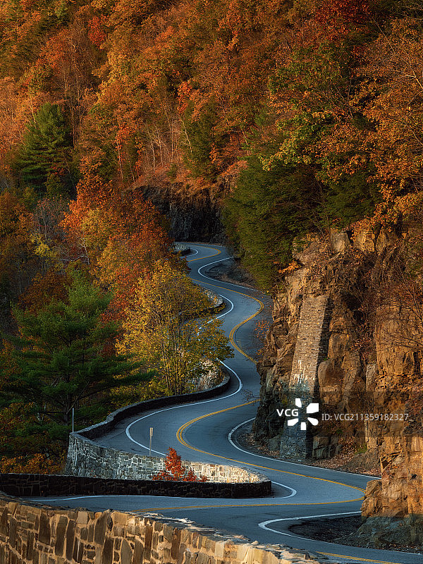 秋季树木中的道路高角度景观图片素材