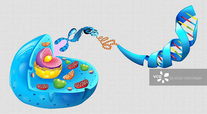 DNA基因抽象图图片素材