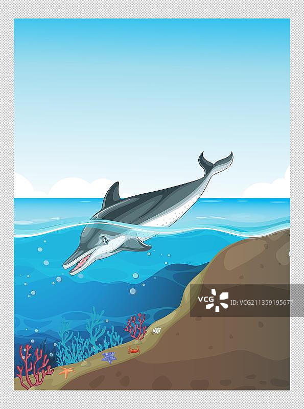 扎入水中的海豚图片素材