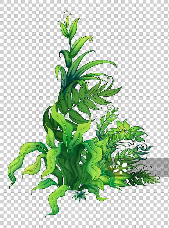 卡通海底的水草元素图片素材