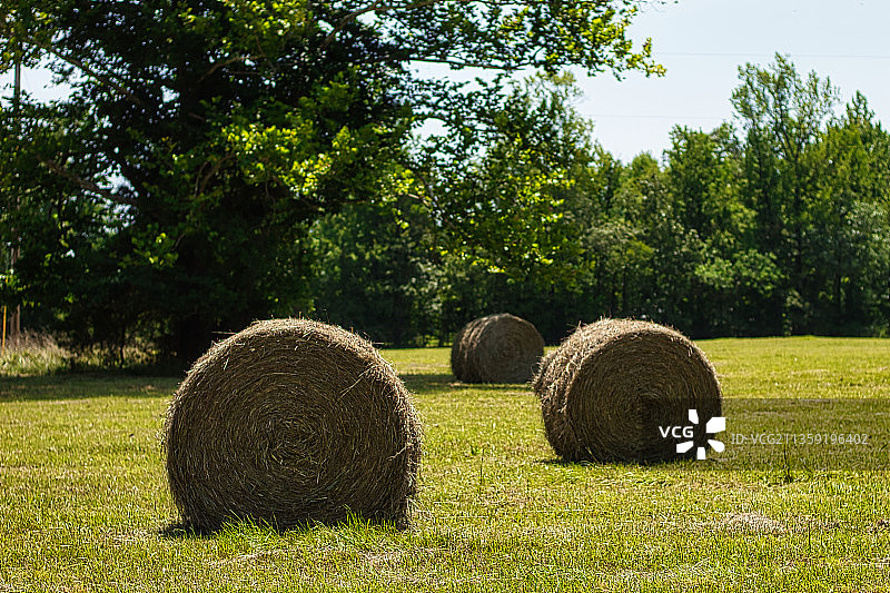 阿肯色州温泉城田野上的干草捆特写图片素材