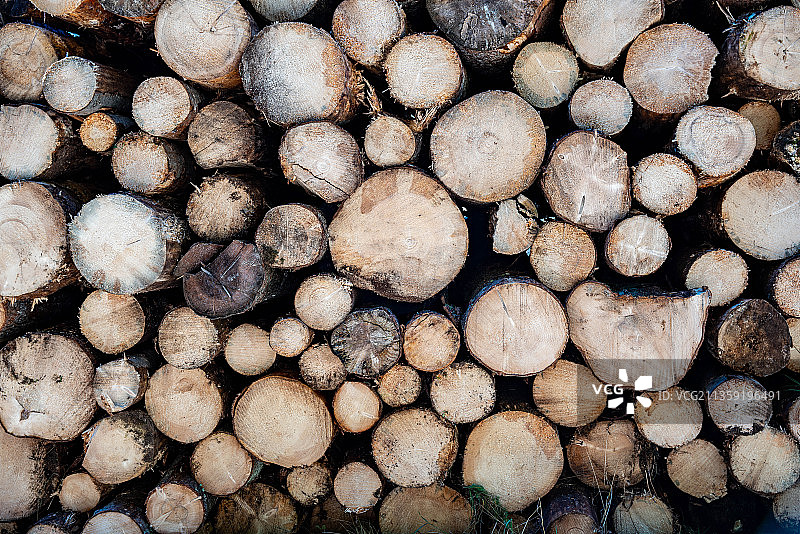 原木的完整框架图图片素材