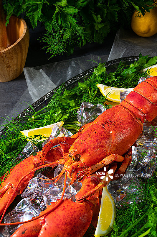 盘中龙虾俯视图图片素材