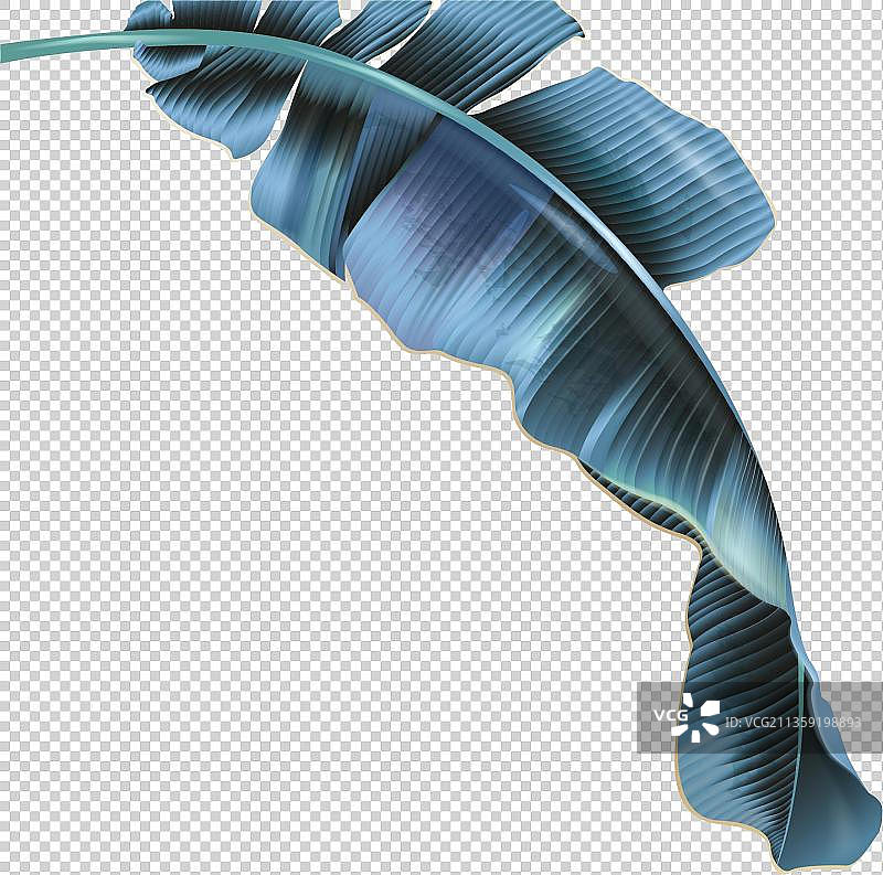 卡通深蓝色叶子图片素材