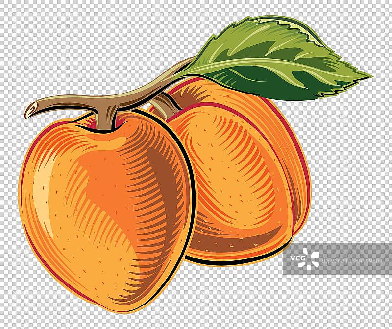 新鲜的黄桃水果元素图片素材