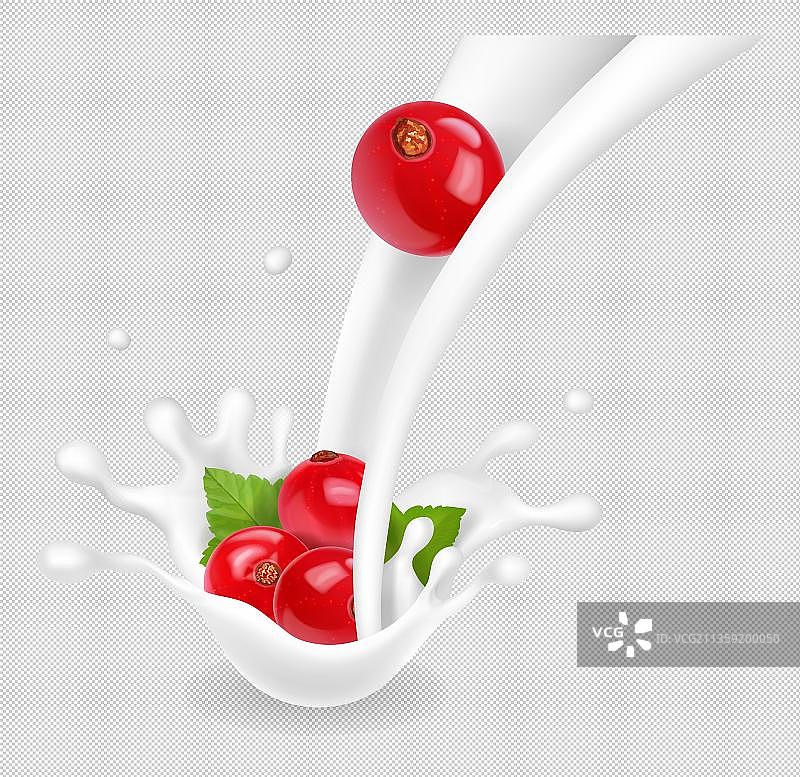 牛奶中的蔓越莓元素图片素材