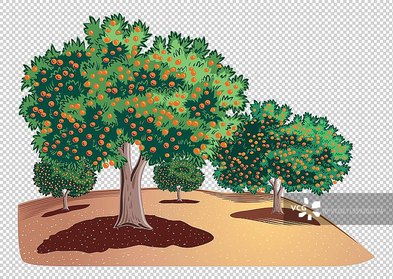 卡通两棵橘子树元素图片素材