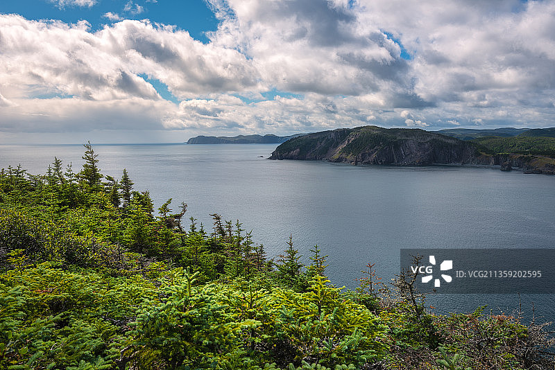 加拿纽芬兰和拉布拉多港雷克斯顿海景风光图片素材