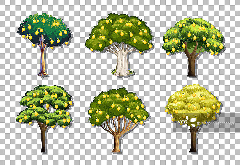 各种柠檬树透明背景素材图片素材