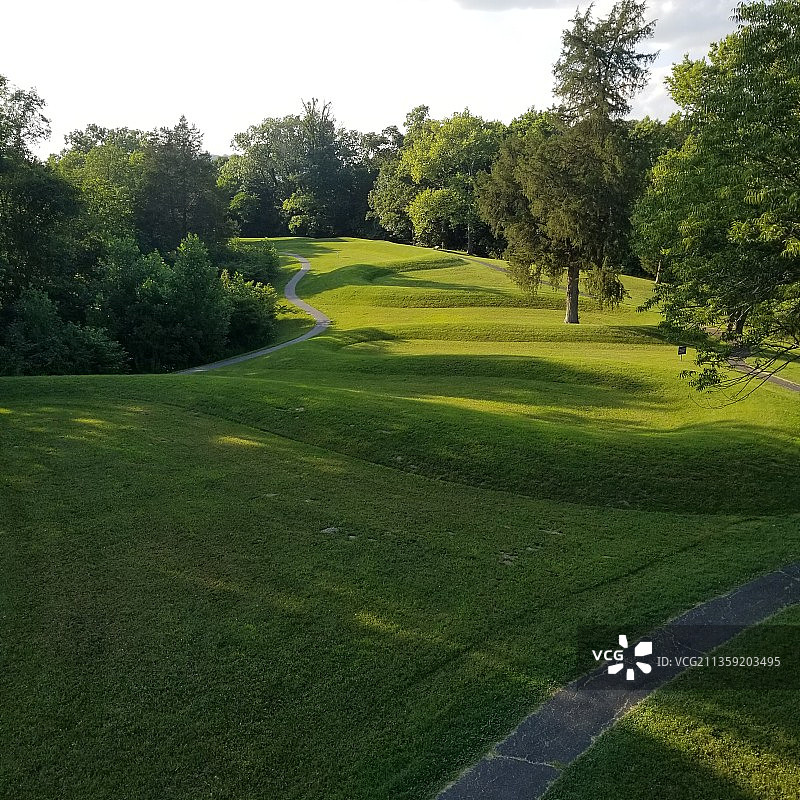 晴空下的高尔夫球场景色图片素材