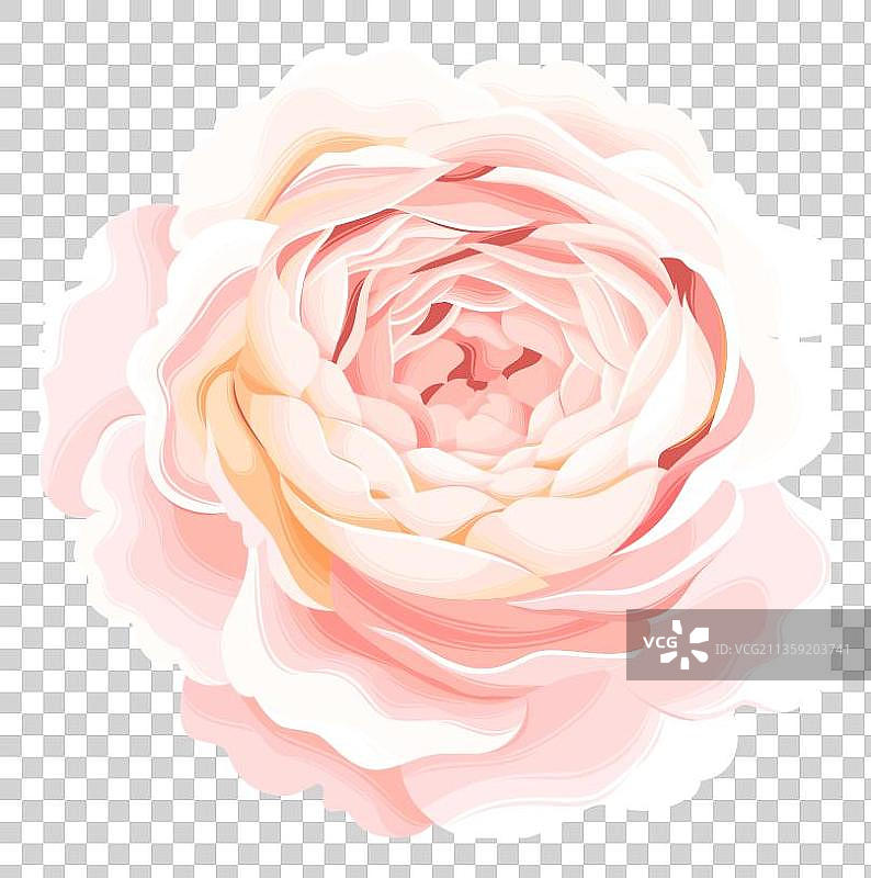 一朵粉色的花蕾图片素材