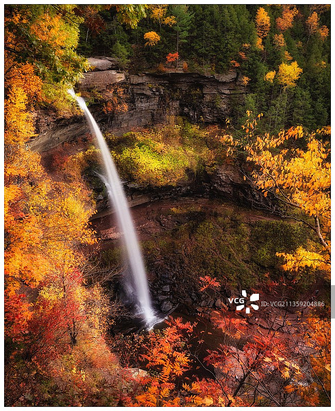 美国卡特斯基尔瀑布秋季森林风光图片素材