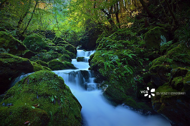 日本东京秋留野森林瀑布风光图片素材