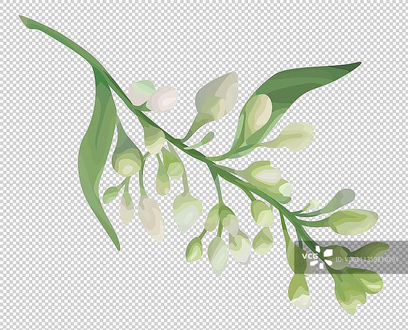 卡通淡雅的丁香花元素图片素材