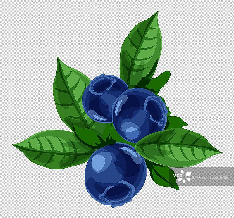 卡通蓝色的新鲜蓝莓元素图片素材