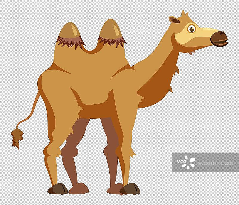 卡通黄色骆驼元素图片素材