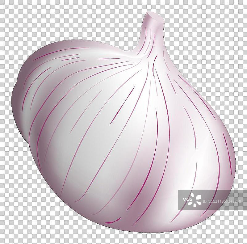 原创手绘饱满的大蒜图片素材