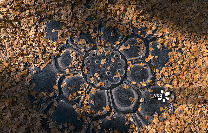 中国河南省洛阳市白马寺景区秋色迷人图片素材