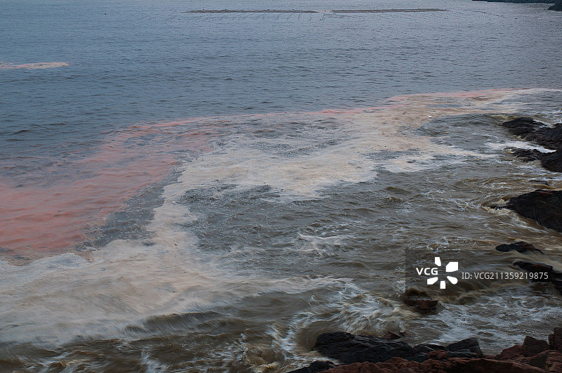 浙江温州 海岸线 赤潮 户外图片素材
