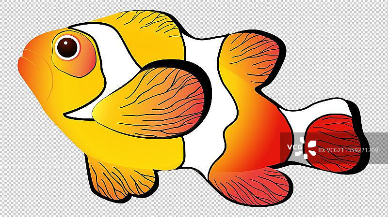 卡通水中的鱼儿元素图片素材