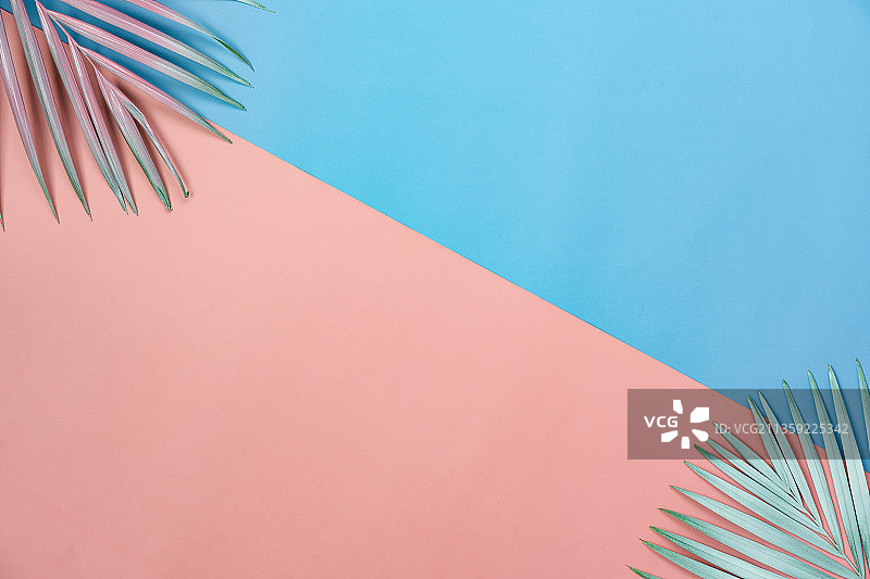 棕榈叶俯视图，彩色背景图片素材