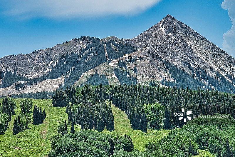 美国科罗拉多州克雷斯特德比特的松树风景图片素材