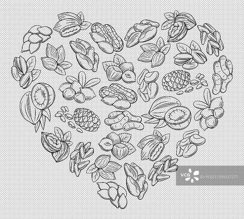手绘风各类坚果食物图片素材