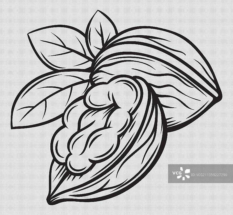 手绘风核桃图片素材