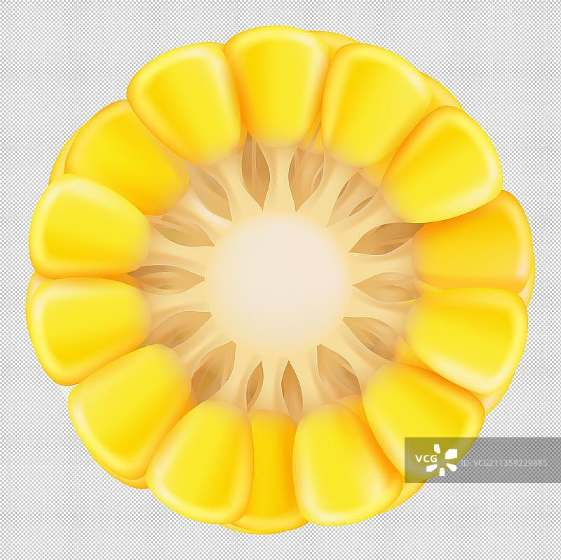 卡通一块新鲜的玉米段图片素材