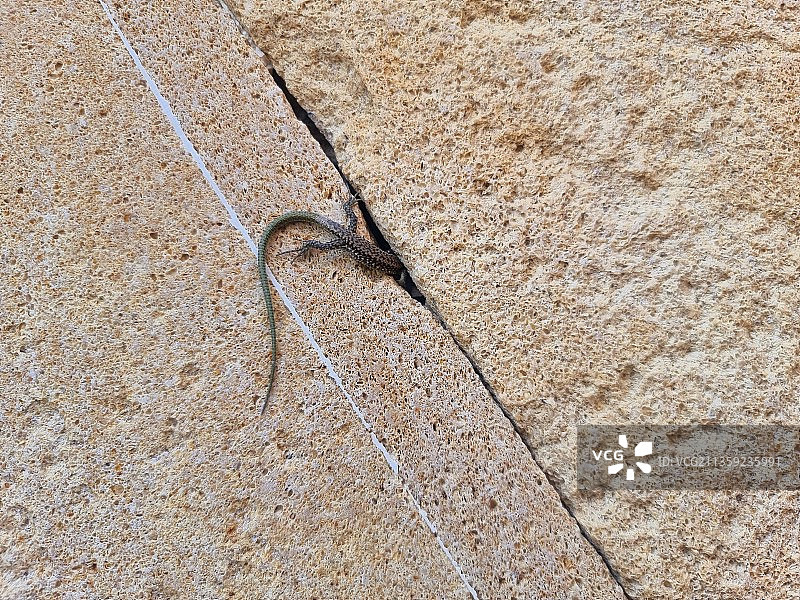 墙壁裂缝特写图片素材