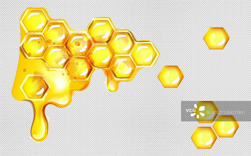 金色的蜂巢蜂蜜图片素材