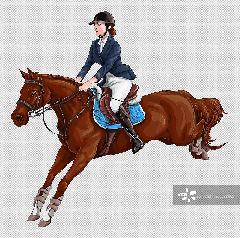优雅的马术运动图片素材
