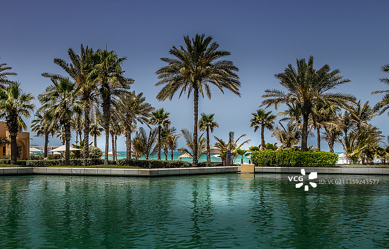 海边棕榈树天空美景图片素材