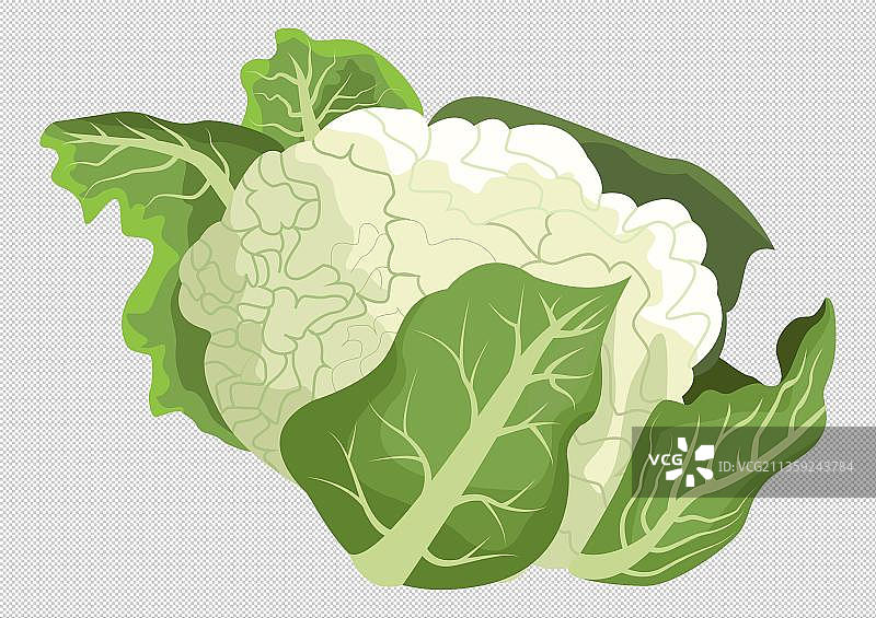 一个新鲜的花菜元素图片素材