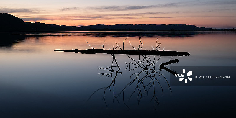 德国科赫尔湖：日落时湖边树木的剪影图片素材