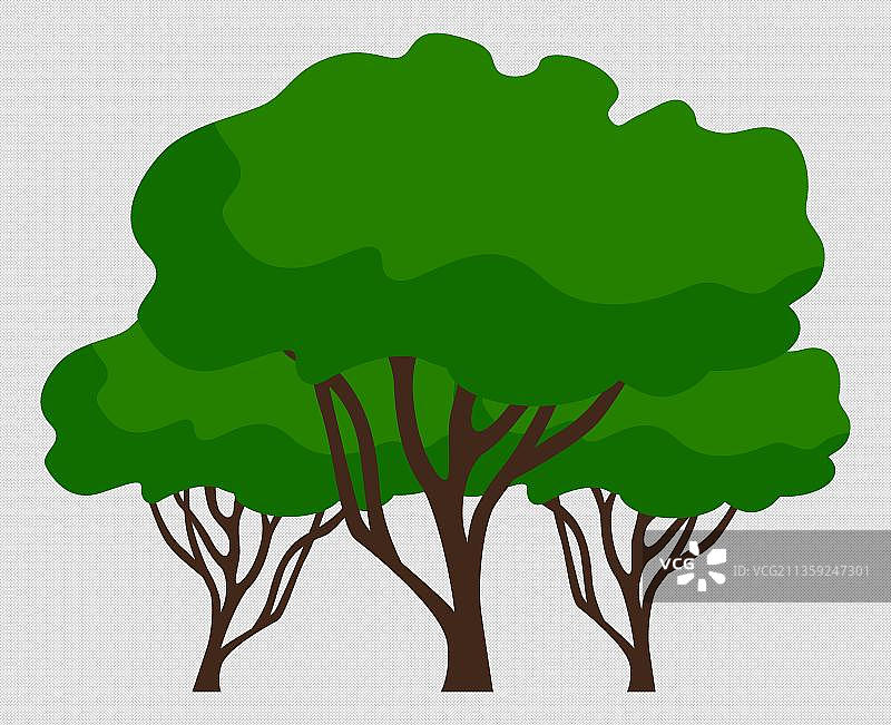 茂密枝干的大树图片素材